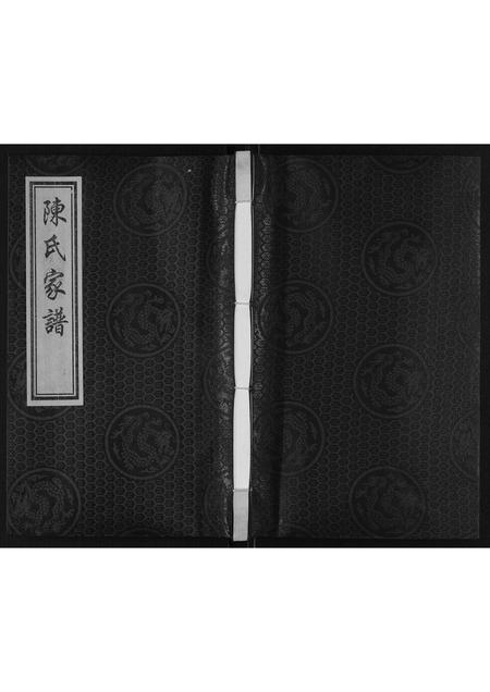 河北陈氏-陈氏家谱.pdf电子版缩略图