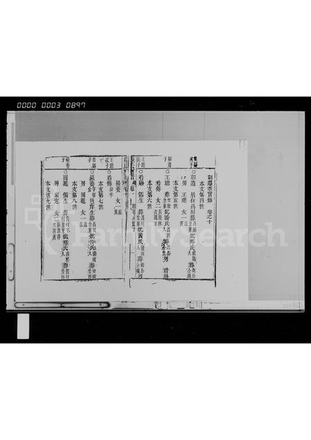 海南陈氏-陈氏家谱 [存卷].pdf电子版预览图5