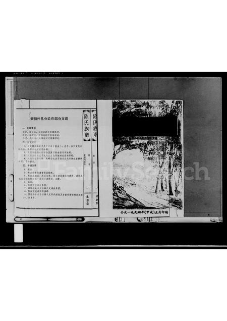 海南陈氏-陈氏族谱(别名：陈氏族谱).pdf电子版预览图2