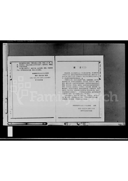 海南陈氏-陈氏族谱(别名：陈氏族谱).pdf电子版预览图4