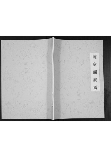 贵州陈氏-陈家阁族谱[不分卷].pdf电子版缩略图