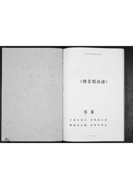 贵州陈氏-陈家阁族谱[不分卷].pdf电子版预览图1