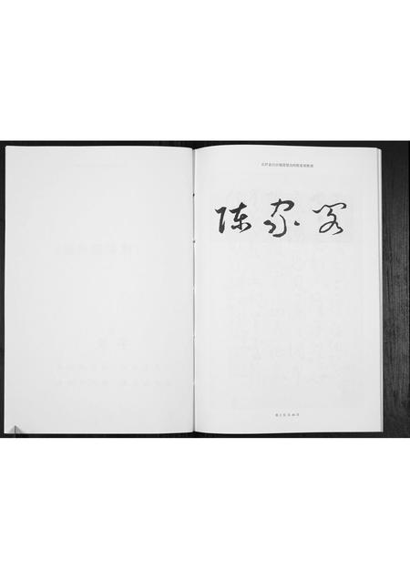 贵州陈氏-陈家阁族谱[不分卷].pdf电子版预览图2