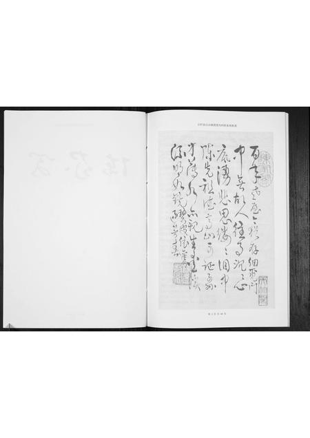 贵州陈氏-陈家阁族谱[不分卷].pdf电子版预览图3