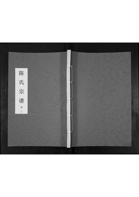 贵州陈氏-陈氏宗谱.pdf电子版缩略图