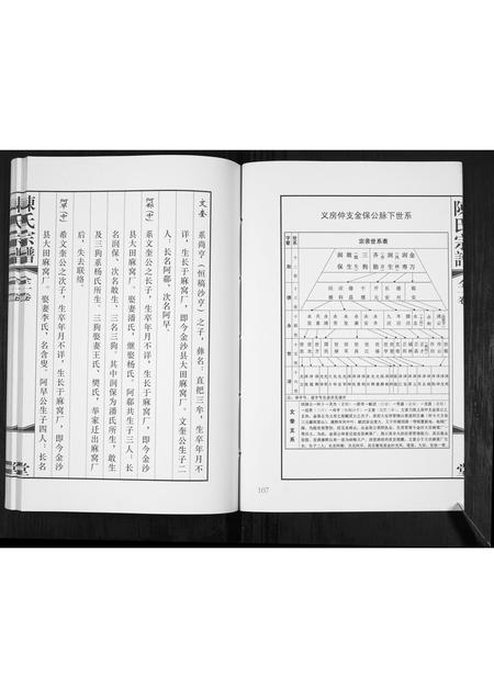 贵州陈氏-陈氏宗谱.pdf电子版预览图3