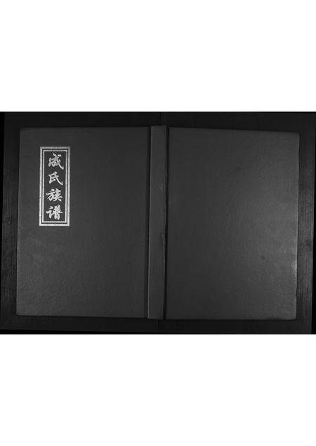 山东成氏-成氏族谱.pdf电子版缩略图