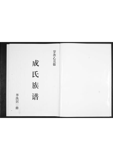山东成氏-成氏族谱.pdf电子版预览图2