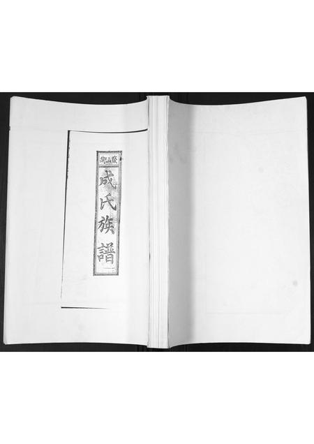 山东成氏-成氏族谱[不分卷].pdf电子版缩略图