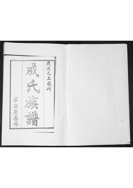 山东成氏-成氏族谱[不分卷].pdf电子版预览图1