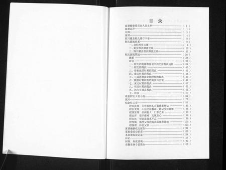 四川程氏-四川省灌县(都江堰市)程氏家谱.pdf电子版预览图2