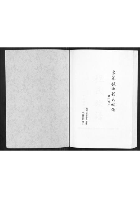 山东程氏-东莱掖西程氏族谱[不分卷].pdf电子版预览图1