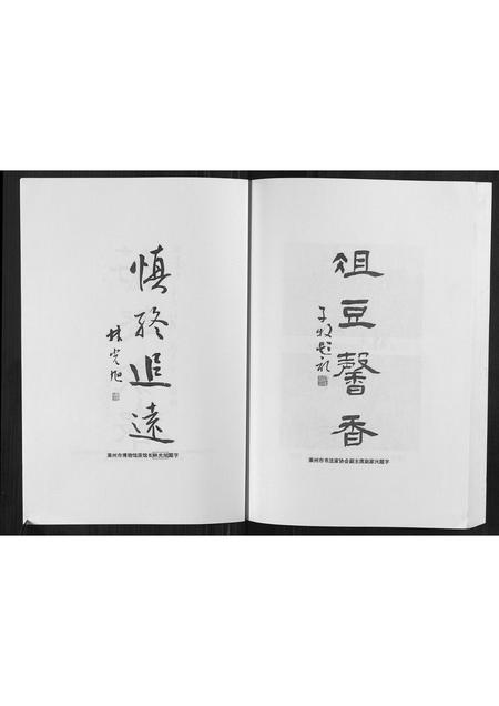 山东程氏-东莱掖西程氏族谱[不分卷].pdf电子版预览图4