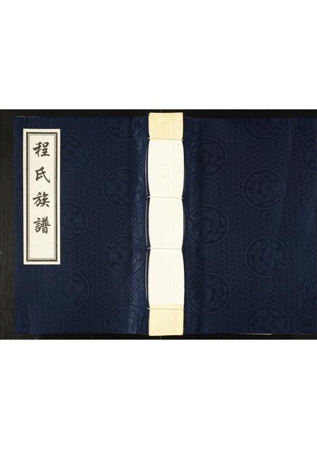 山东程氏-程氏族谱.pdf电子版缩略图