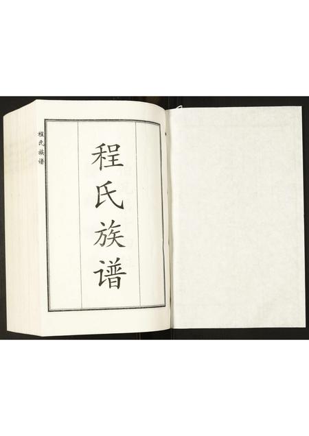 山东程氏-程氏族谱.pdf电子版预览图1