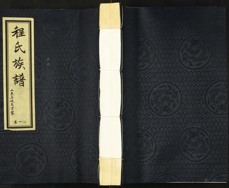 山东程氏-程氏族谱.pdf电子版缩略图