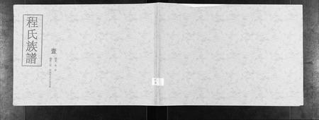 山东程氏-程氏族谱[不分卷].pdf电子版缩略图