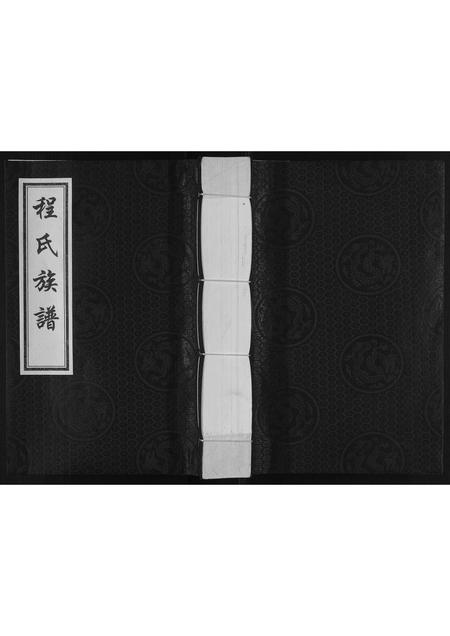 河北程氏-程氏族谱.pdf电子版缩略图