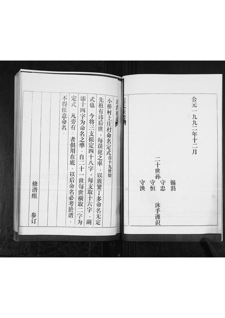 山东迟氏-迟氏族谱[2卷].pdf电子版预览图5