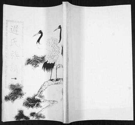 山东迟氏-迟氏族谱[4卷].pdf电子版