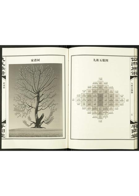 山东仇氏-仇氏家谱.pdf电子版预览图4