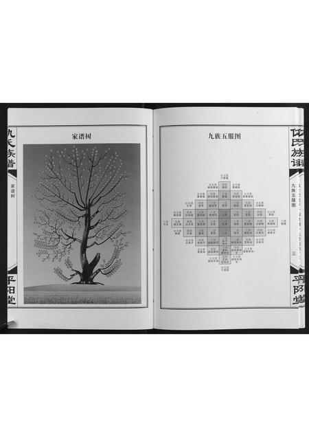 山东仇氏-仇氏族谱[不分卷].pdf电子版预览图4
