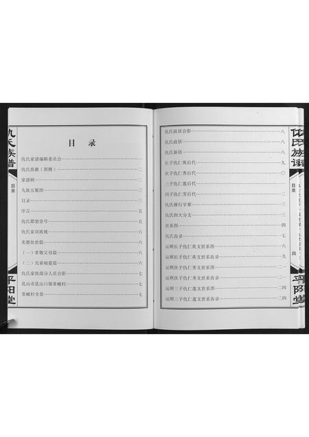 山东仇氏-仇氏族谱[不分卷].pdf电子版预览图5
