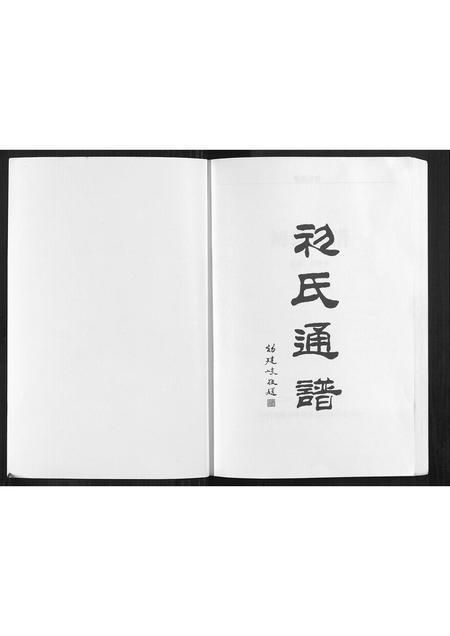 辽宁初氏-初氏通谱[不分卷].pdf电子版预览图1