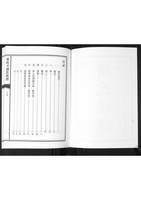 山东褚氏-鳌山卫褚氏族谱[不分卷].pdf电子版预览图2