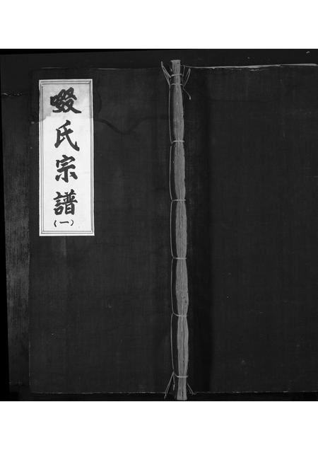 山西啜氏-啜氏宗谱[1册].pdf电子版缩略图