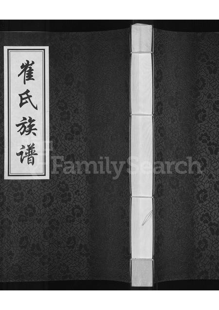 吉林崔氏-吉林省农安县崔氏族谱(别名：崔氏族谱).pdf电子版缩略图