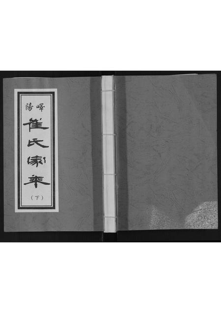 山东崔氏-崔氏家乘.pdf电子版缩略图