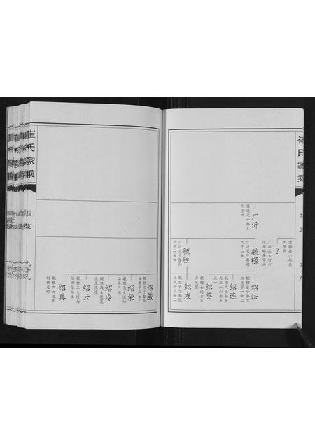 山东崔氏-崔氏家乘.pdf电子版预览图3