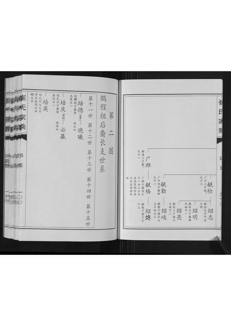 山东崔氏-崔氏家乘.pdf电子版预览图4