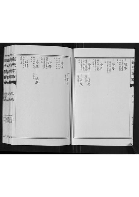 山东崔氏-崔氏家乘.pdf电子版预览图5