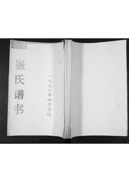 山东崔氏-崔氏族谱.pdf电子版缩略图