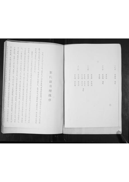 山东崔氏-崔氏族谱.pdf电子版预览图2