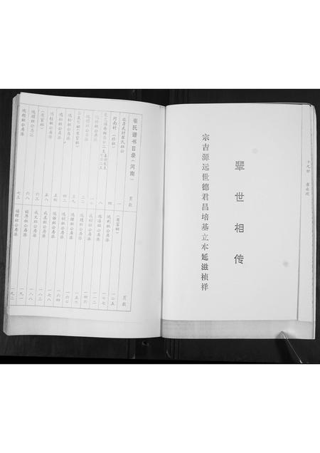 山东崔氏-崔氏族谱.pdf电子版预览图4