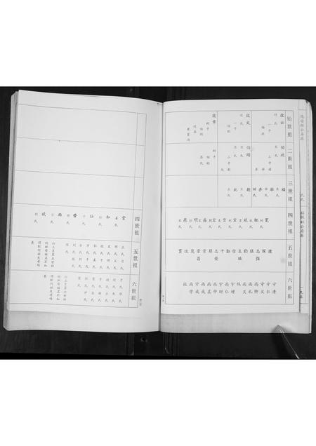 山东崔氏-崔氏族谱.pdf电子版预览图5