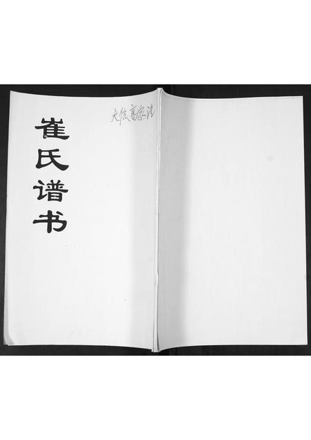 山东崔氏-崔氏族谱.pdf电子版缩略图