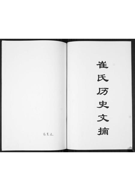 山东崔氏-崔氏族谱.pdf电子版预览图1