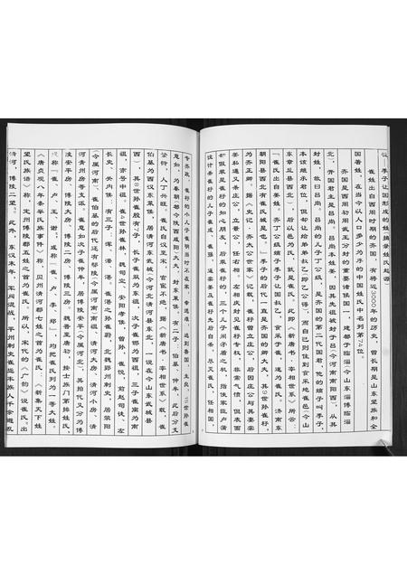 山东崔氏-崔氏族谱.pdf电子版预览图5