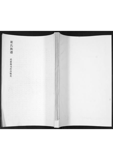 山东崔氏-崔氏族谱.pdf电子版缩略图