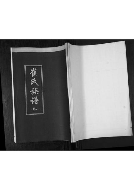 山东崔氏-崔氏族谱[2卷].pdf电子版缩略图