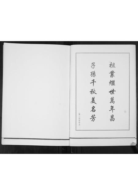 山东崔氏-崔氏族谱[2卷].pdf电子版预览图2