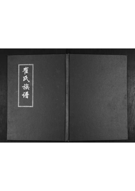 山东崔氏-崔氏族谱[不分卷].pdf电子版缩略图