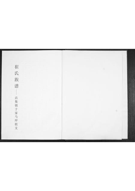 山东崔氏-崔氏族谱[不分卷].pdf电子版预览图1