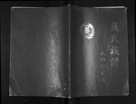 四川戴氏-戴氏族谱戴用泮家谱[不分卷].pdf电子版缩略图