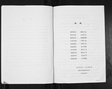 四川戴氏-戴氏族谱戴用泮家谱[不分卷].pdf电子版预览图2