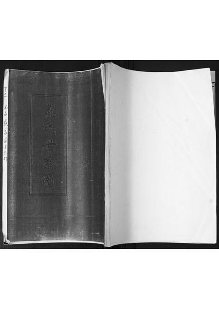 山东戴氏-戴氏世系图.pdf电子版缩略图